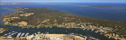 Raymond Island - VIC (PBH4 00 11531)